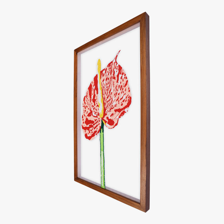 Framed artwork of a red flower with a white background