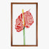 Framed artwork of a red flower with a yellow center on a white background